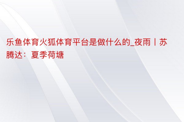 乐鱼体育火狐体育平台是做什么的_夜雨丨苏腾达：夏季荷塘