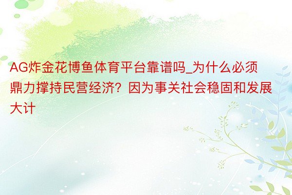 AG炸金花博鱼体育平台靠谱吗_为什么必须鼎力撑持民营经济？因为事关社会稳固和发展大计