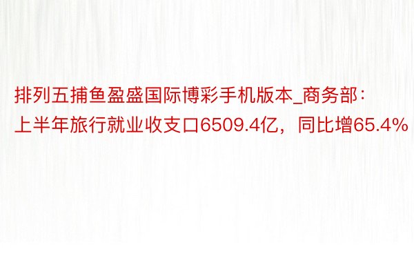 排列五捕鱼盈盛国际博彩手机版本_商务部：上半年旅行就业收支口6509.4亿，同比增65.4%